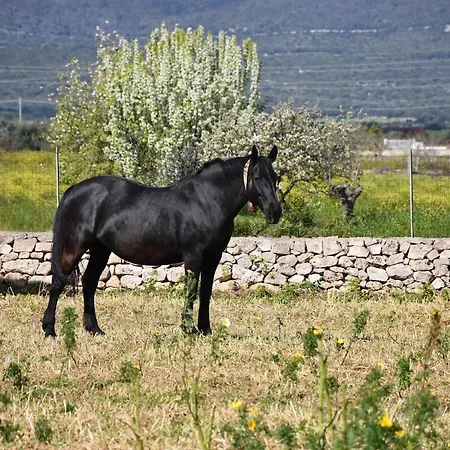 Masseria Medico Di Maglie Holiday home Crispiano